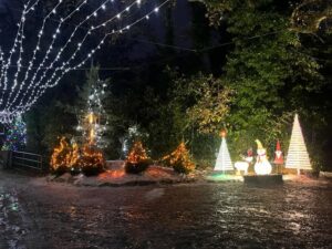 marché de Noel,association,ploemeur,Communs d'abord,comm1 marché,noel,exposant noel,marché de noel bretagne,marché de noel morbihan,marché de noel ploemeur,marché de noel Lorient