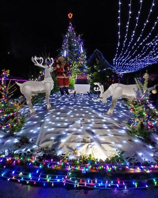 marché de Noel,association,ploemeur,Communs d&#039;abord,comm1 marché,noel,exposant noel,marché de noel bretagne,marché de noel morbihan,marché de noel ploemeur,marché de noel Lorient