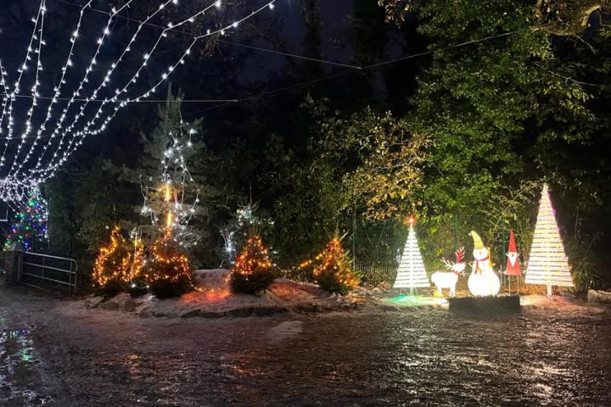 dimanche-7-decembre-2025-MArche-de-noel