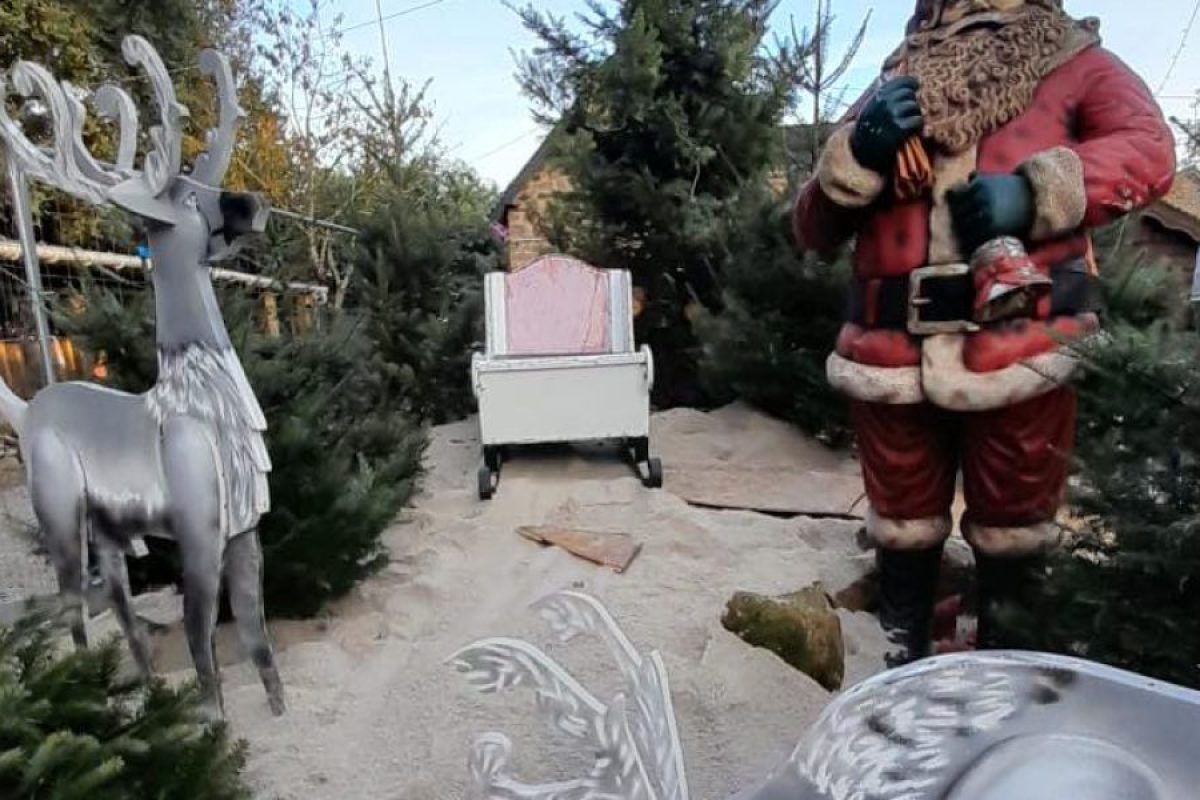 preparation-sapin-noel-nov-2024 (2)